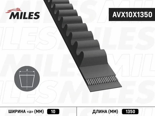 V-Belt (AVX10X1350)