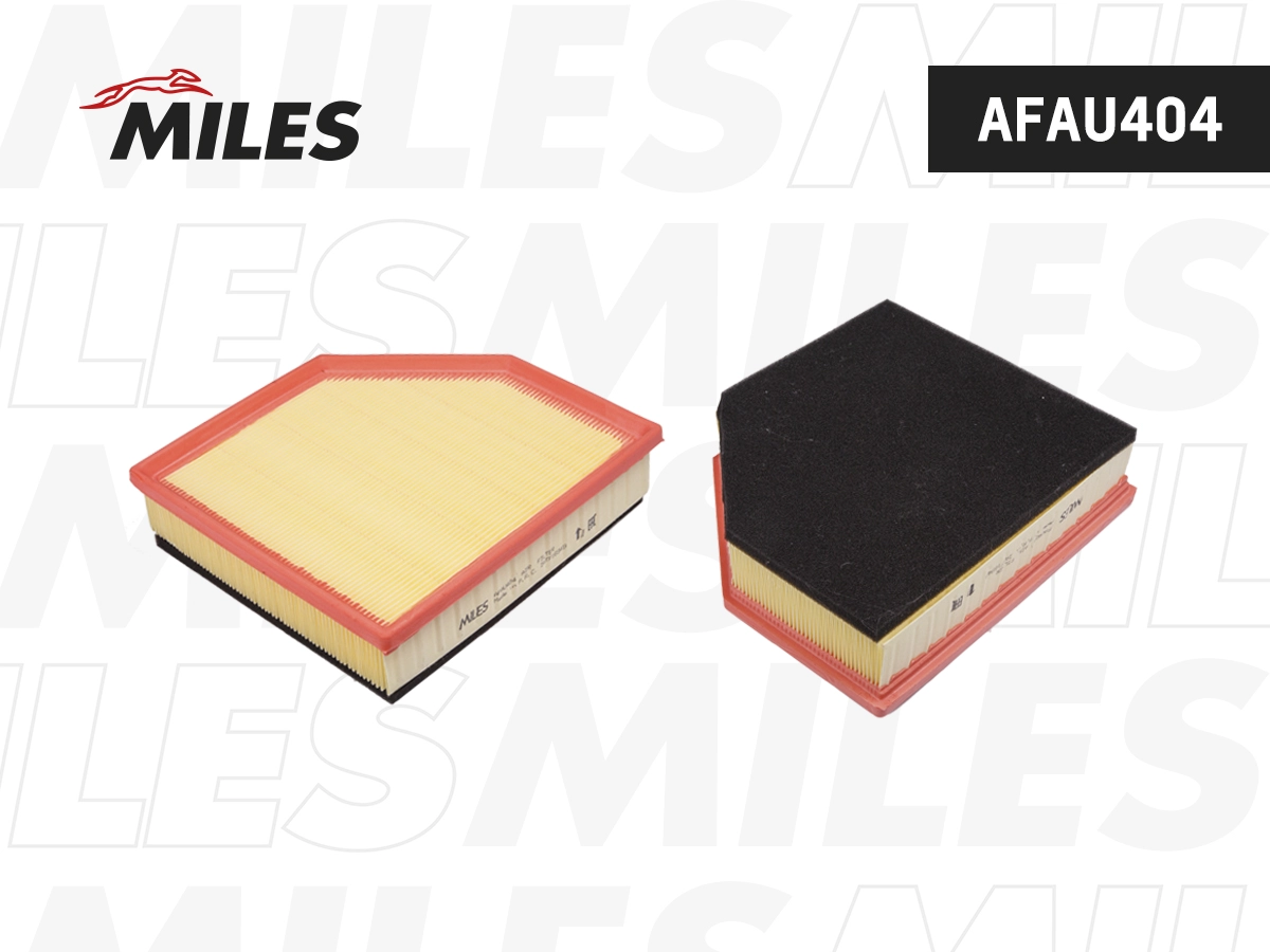 Air Filter (AFAU404)
