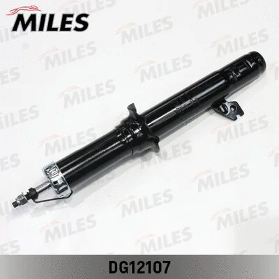 Shock Absorber (DG12107)