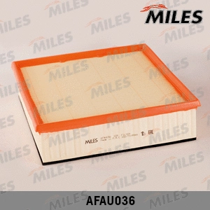 Air Filter (AFAU036)