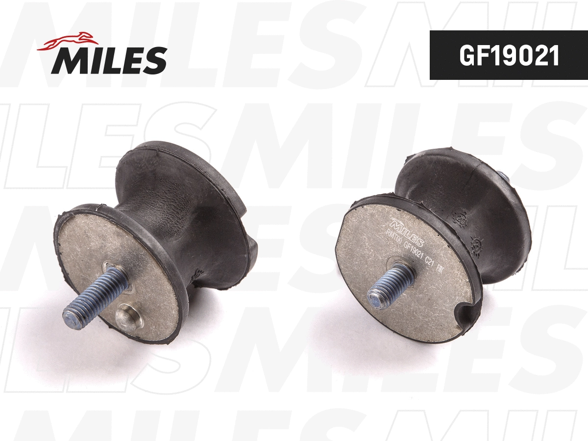 Mounting, automatic transmission (GF19021)