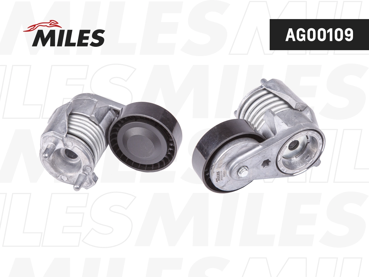 Tensioner Lever, V-ribbed belt (AG00109)