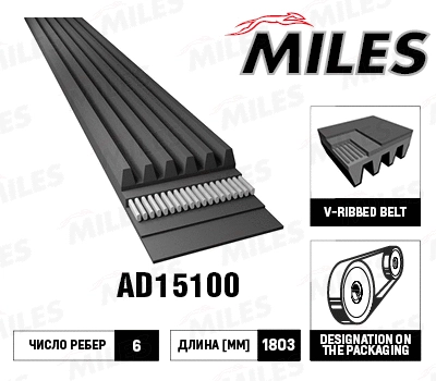 V-Ribbed Belt (AD15100)