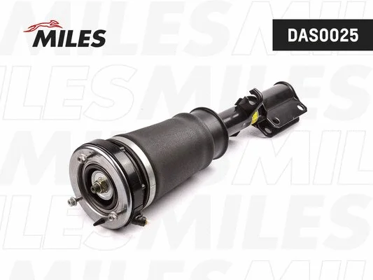 Air Suspension Strut (DAS0025)