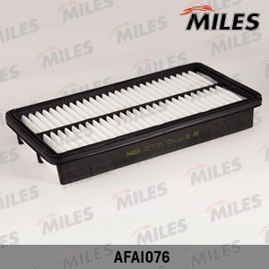 Air Filter (AFAI076)