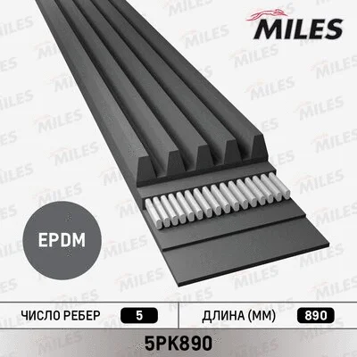 V-Ribbed Belt (5PK890)