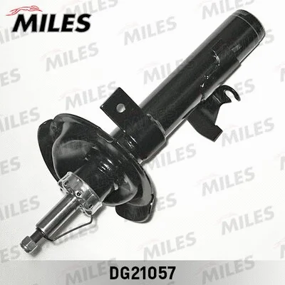 Shock Absorber (DG21057)