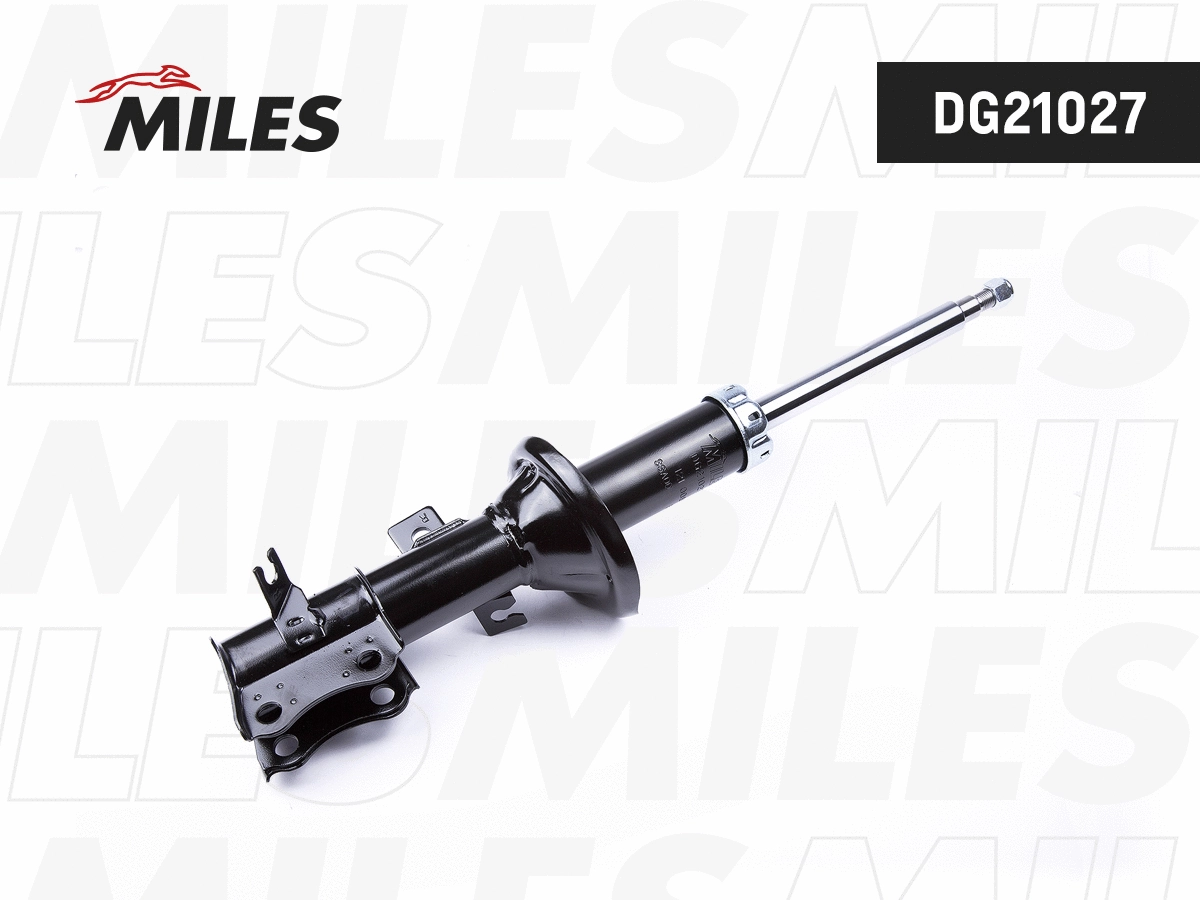 Shock Absorber (DG21027)