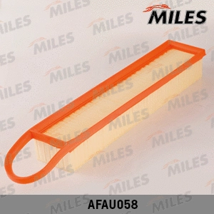Air Filter (AFAU058)