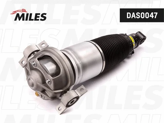 Air Suspension Strut