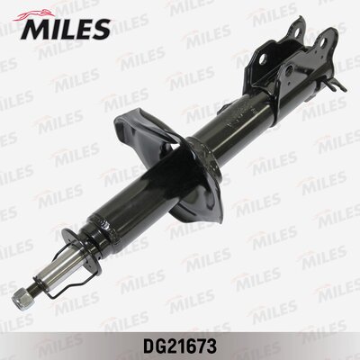 Shock Absorber (DG21673)