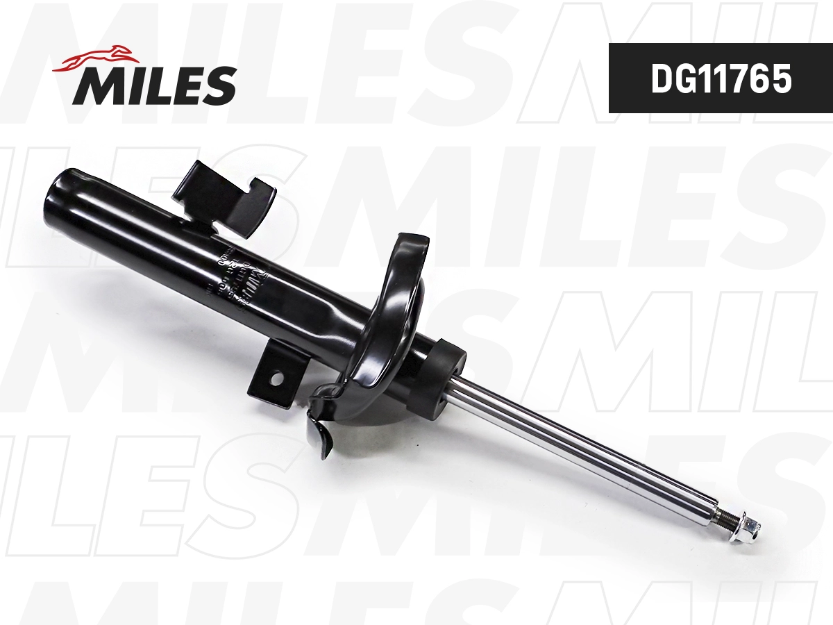 Shock Absorber (DG11765)