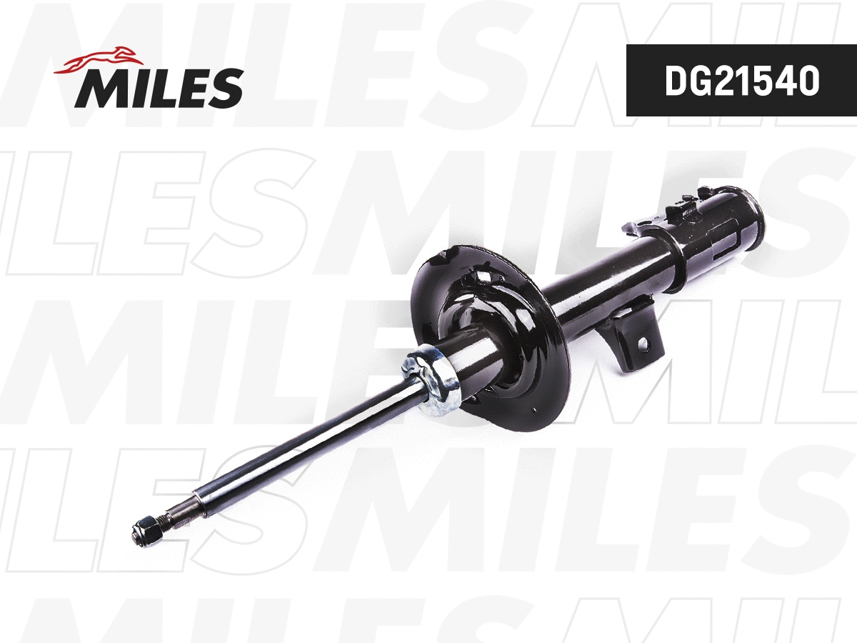 Shock Absorber (DG21540)