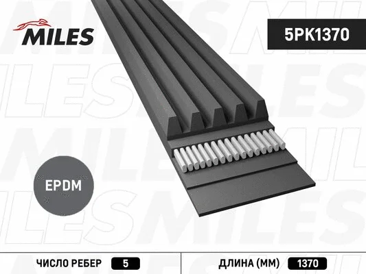 V-Ribbed Belt (5PK1370)