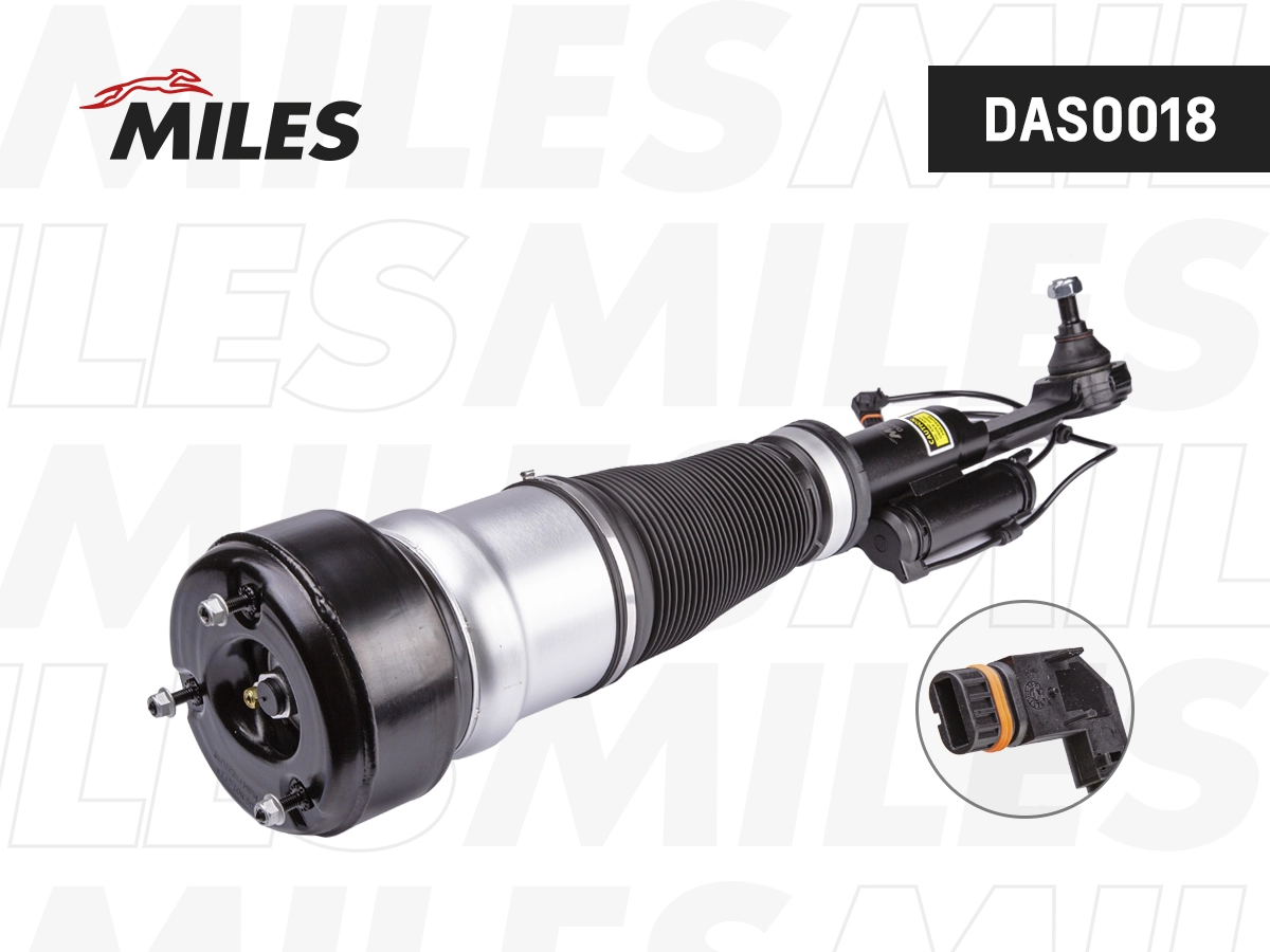 Air Suspension Strut (DAS0018)