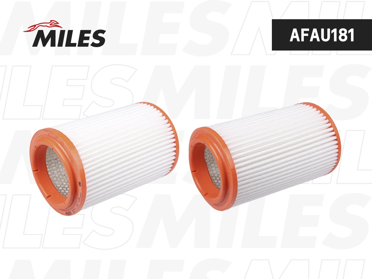 Air Filter (AFAU181)