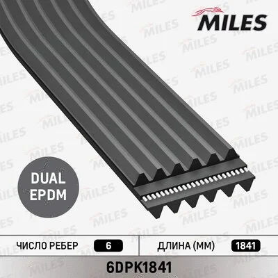 V-Ribbed Belt (6DPK1841)