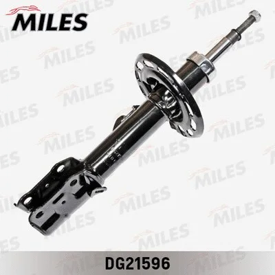 Shock Absorber (DG21596)