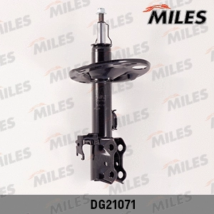 Shock Absorber (DG21071)