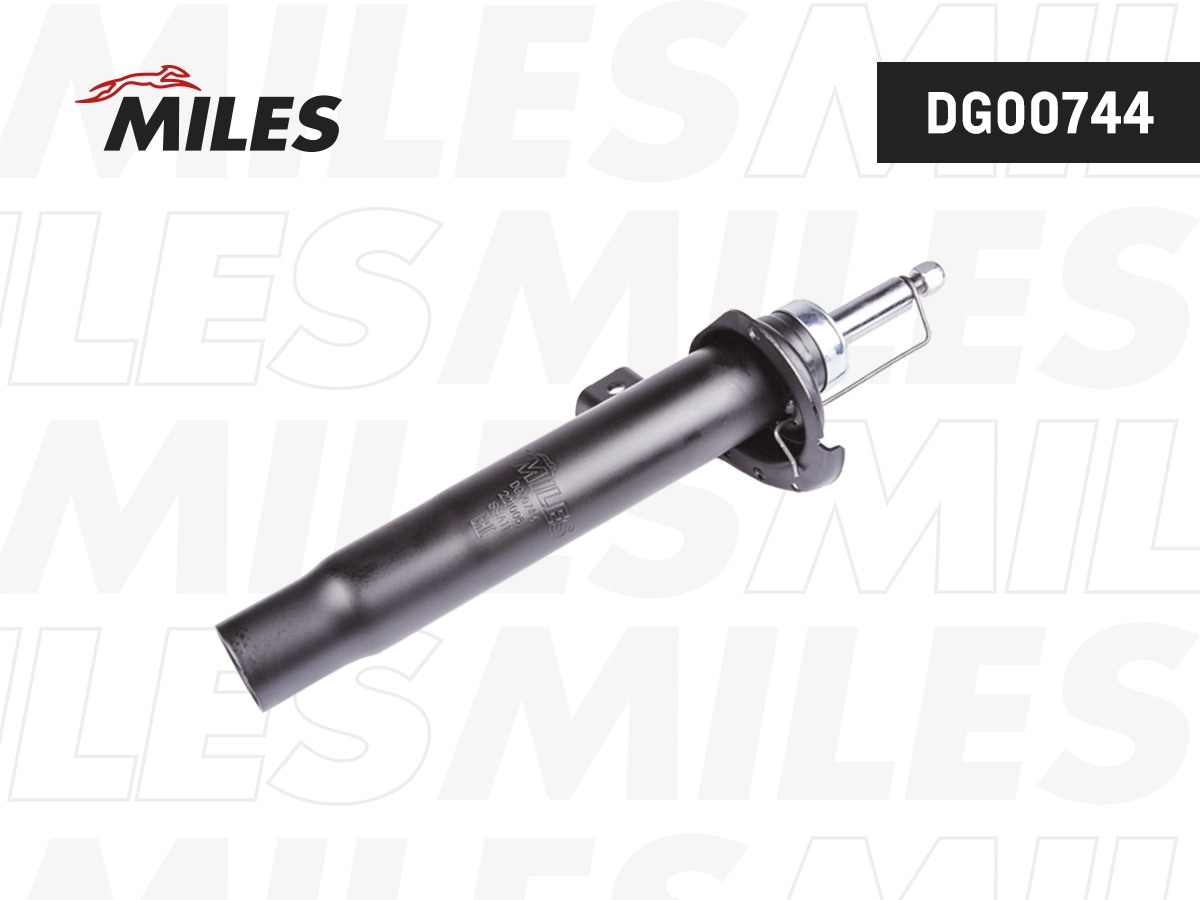 Shock Absorber (DG00744)