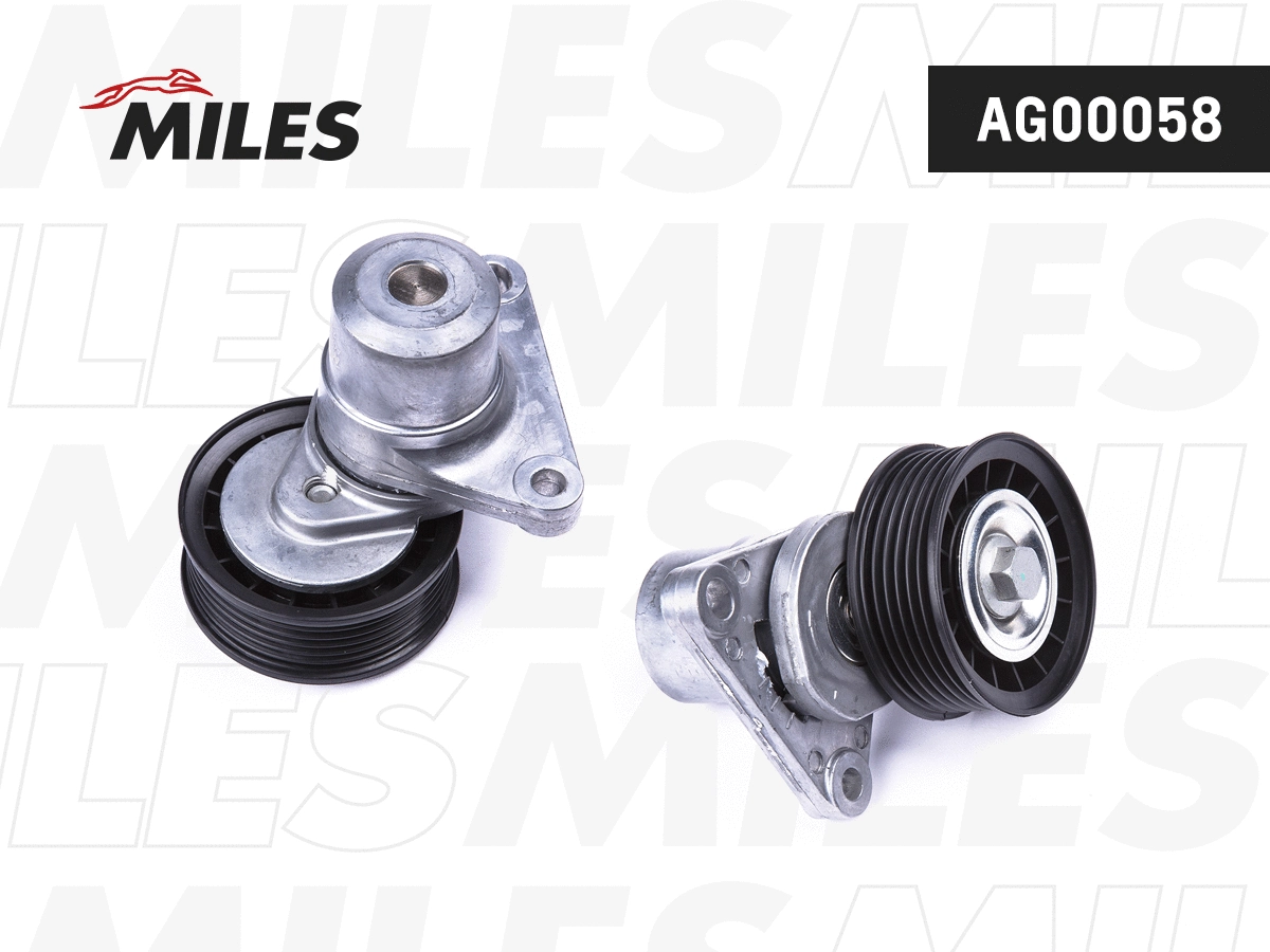 Tensioner Lever, V-ribbed belt (AG00058)