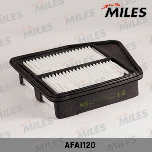 Air Filter (AFAI120)