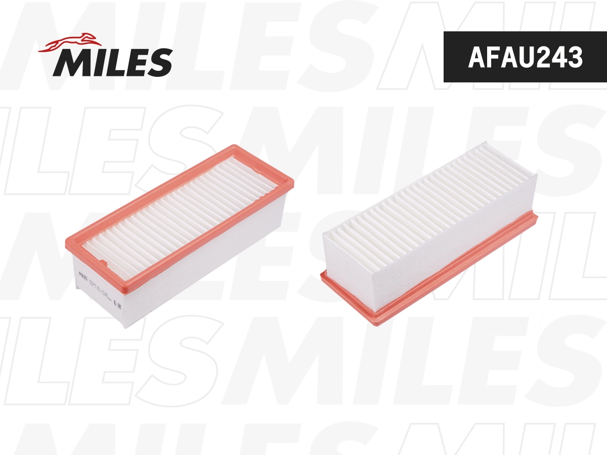 Air Filter (AFAU243)