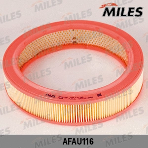 Air Filter (AFAU116)