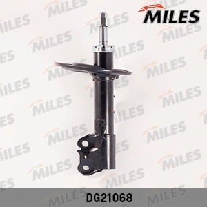 Shock Absorber (DG21068)