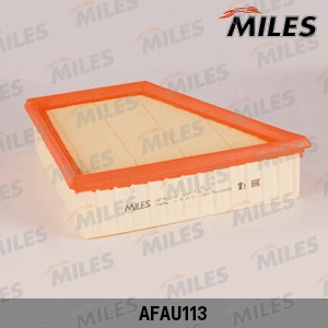 Air Filter (AFAU113)
