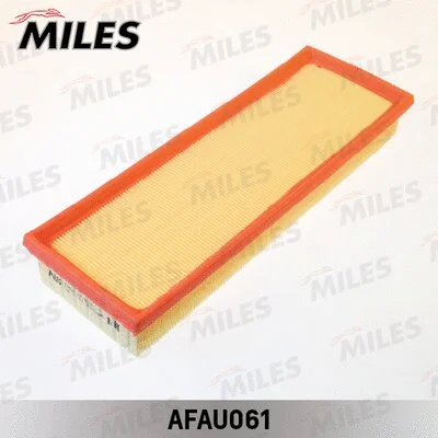 Air Filter (AFAU061)
