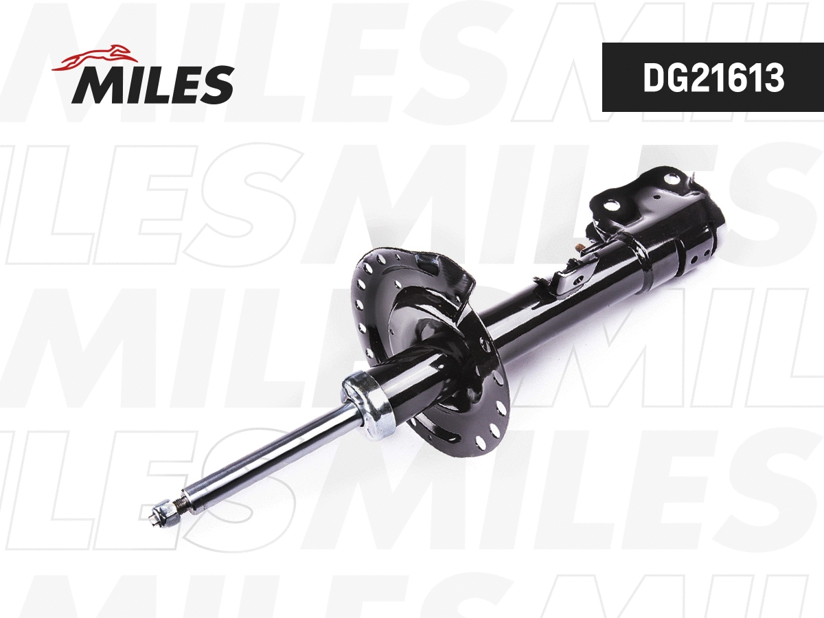 Shock Absorber (DG21613)