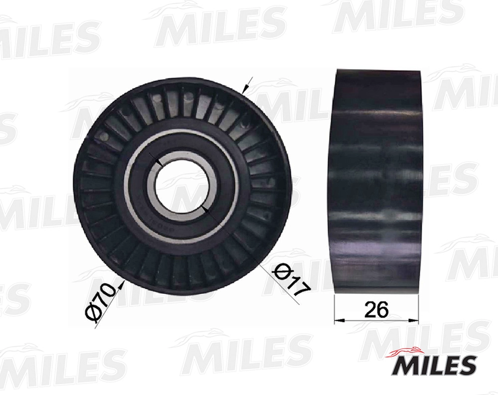 Tensioner Lever, V-ribbed belt