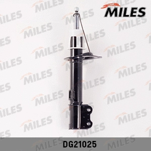 Shock Absorber (DG21025)