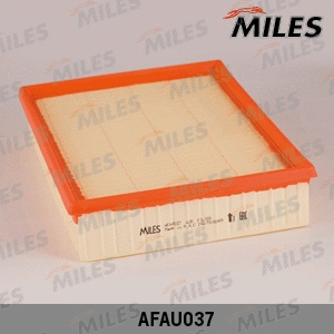 Air Filter (AFAU037)