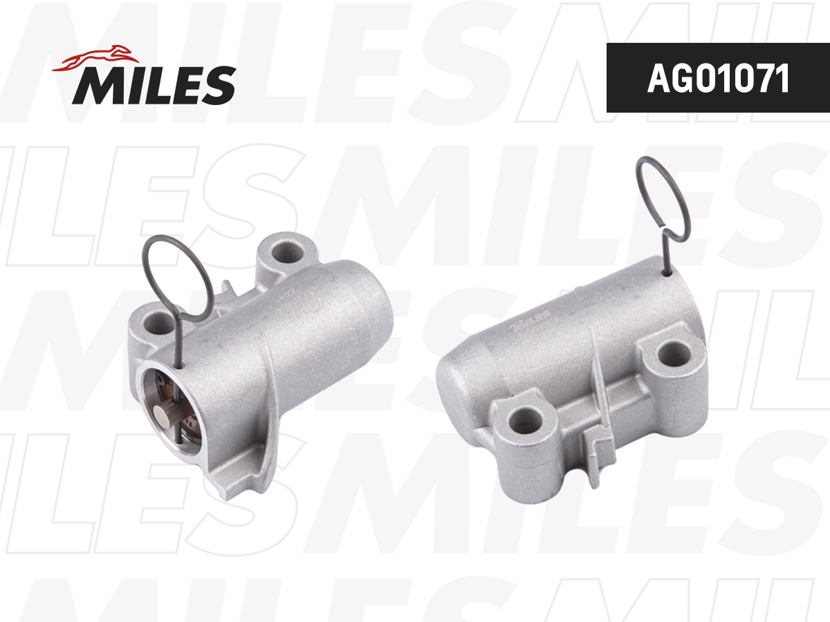 Vibration Damper, timing belt (AG01071)