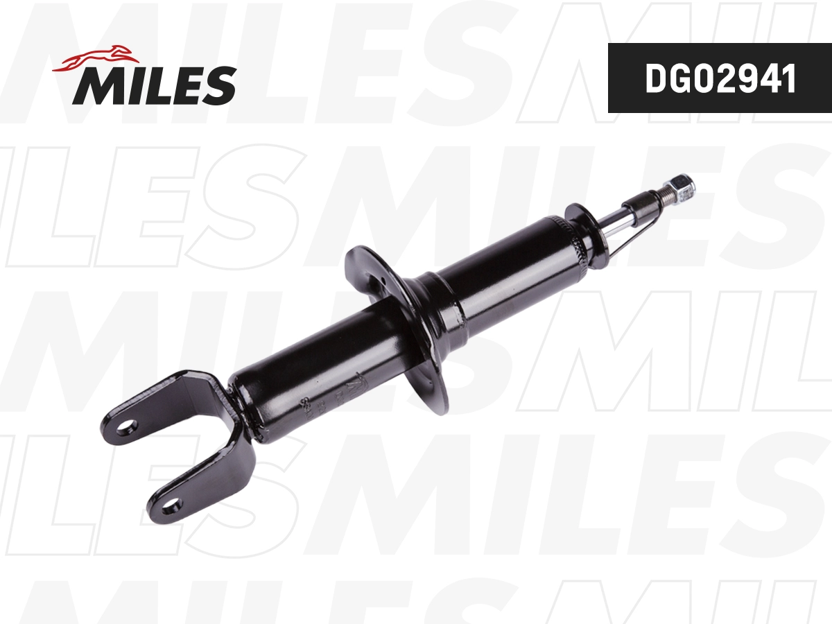 Shock Absorber (DG02941)