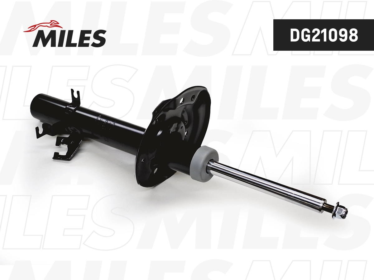 Shock Absorber (DG21098)