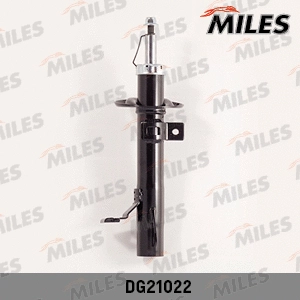 Shock Absorber (DG21022)