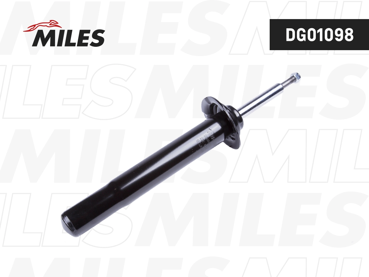 Shock Absorber (DG01098)