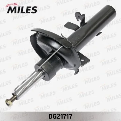 Shock Absorber (DG21717)