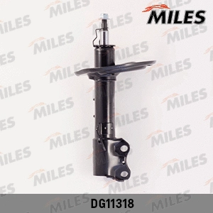 Shock Absorber (DG11318)