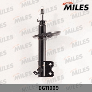 Shock Absorber (DG11009)