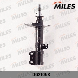 Shock Absorber (DG21053)