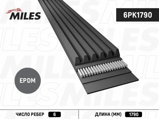 V-Ribbed Belt (6PK1790)
