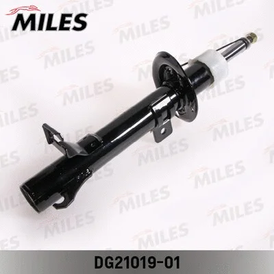 Shock Absorber (DG21019-01)