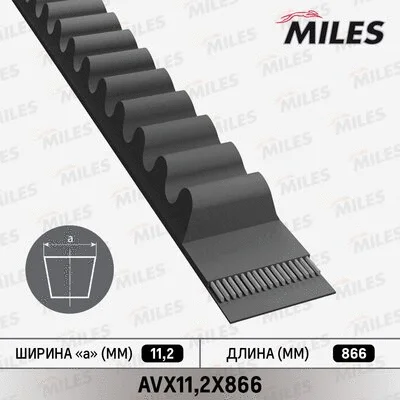 V-Belt (AVX11,2X866)