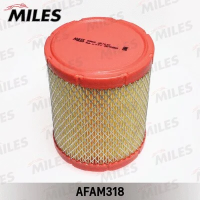 Air Filter (AFAM318)