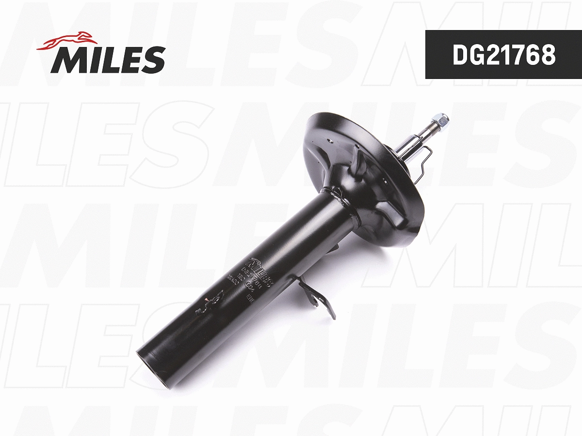 Shock Absorber (DG21768)