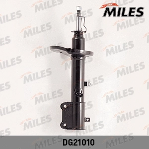 Shock Absorber (DG21010)